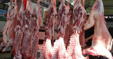 سعر اللحمة البلدى في كفر الشيخ الأحد 26 أكتوبر 2025