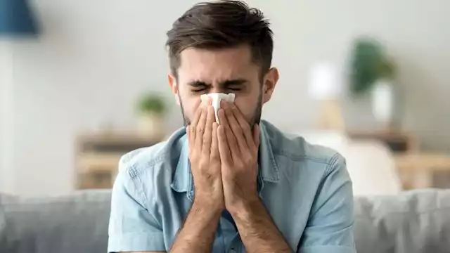 في الخريف تظهر أعراض تشبه الإنفلونزا: احذر تجاهلها