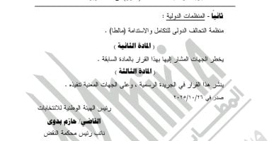 الهيئة الوطنية تقبل 3 منظمات مصرية ومنظمة دولية لمراقبة انتخابات النواب