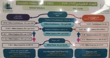 الإحصاء: 15 مليون عامل في مصر و744 مليار جنيه أجور