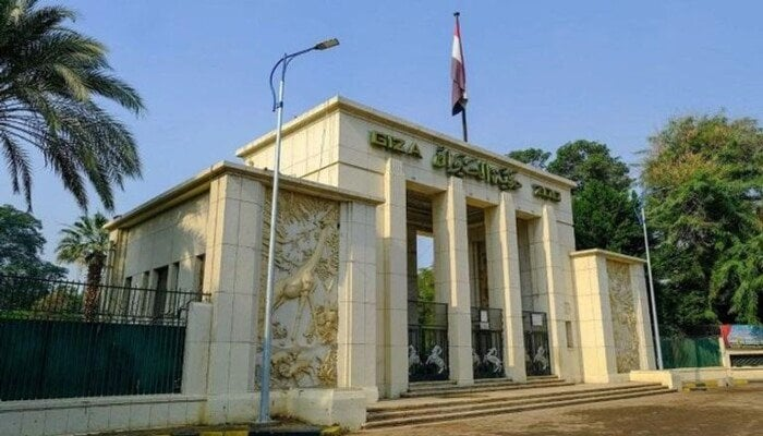 خطة تطوير هائلة وتجارب جديدة للزائرين: موعد افتتاح حديقة الحيوان في الجيزة