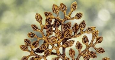 شجرة الأمنيات الهندية رمز أسطوري يتحول إلى ديكور للوفرة والرخاء