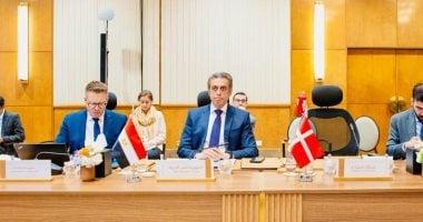 مصر تشارك في اجتماع تنسيقي للتحالف العالمي لتنفيذ حل الدولتين