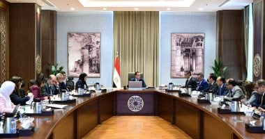 مدبولى يتابع جهود توفير السلع الاستراتيجية بالتنسيق بين الجهات