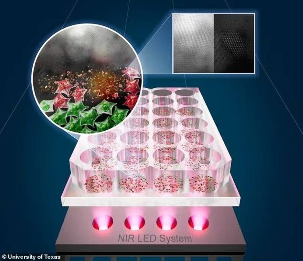 علاج فعال يقضي على 90% من الخلايا السرطانية خلال 30 دقيقة!