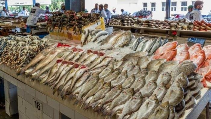 أسعار الأسماك والجمبري الثلاثاء 28 أكتوبر 2025