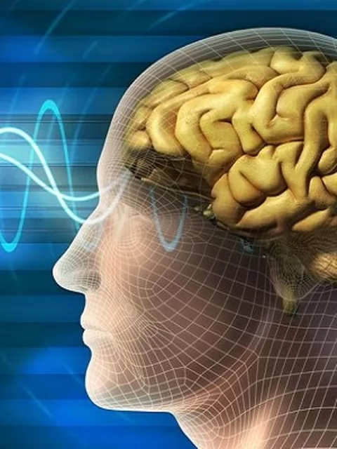 اكتشاف جزيء في الدماغ يعمل كغراء للذكريات