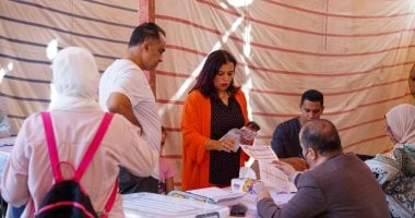 القانون يحدد عقوبة التصويت أكثر من مرة في الانتخابات.. اعرف التفاصيل