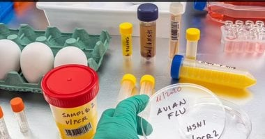 تطوير لقاح تجريبي لسلالات معروفة من إنفلونزا الطيور