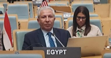 مصر تؤكد دعمها للأمن الغذائي الإفريقي بقمة مصايد الأسماك بأديس أبابا