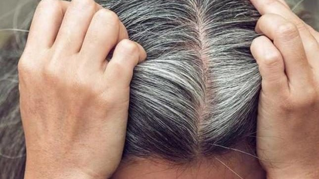 5 أطعمة لإبطاء الشيب المبكر للشعر