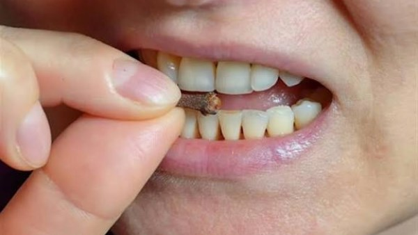 ماذا يحدث للجسم عند مضغ حبة القرنفل يوميًا؟ فوائد وأضرار خفية