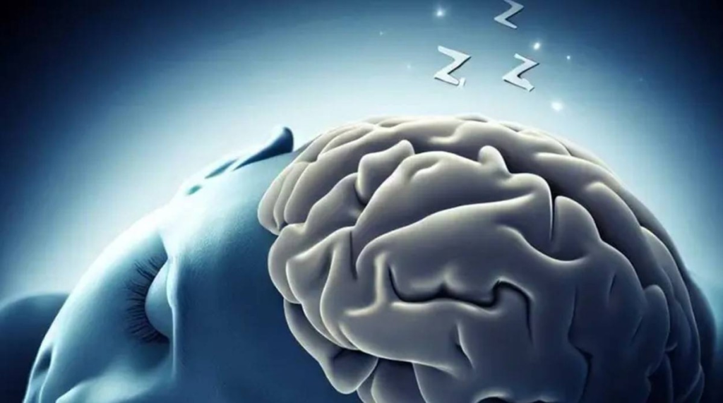 ما هو النظام الجليمفاوي السري لغسل المخ أثناء النوم؟