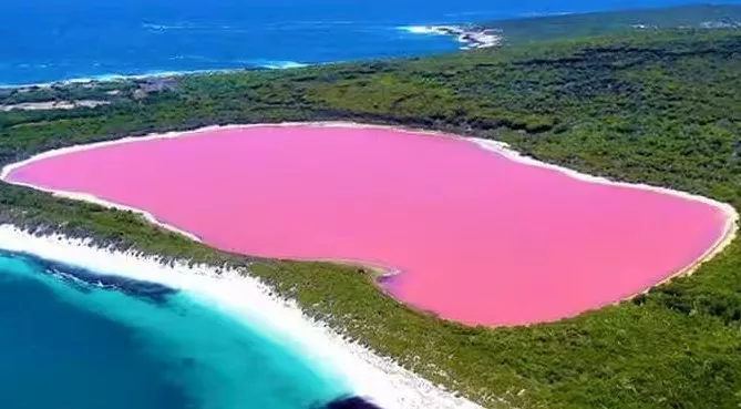 بحيرة الورود في أستراليا: لغز المياه الوردية يحير العلماء
