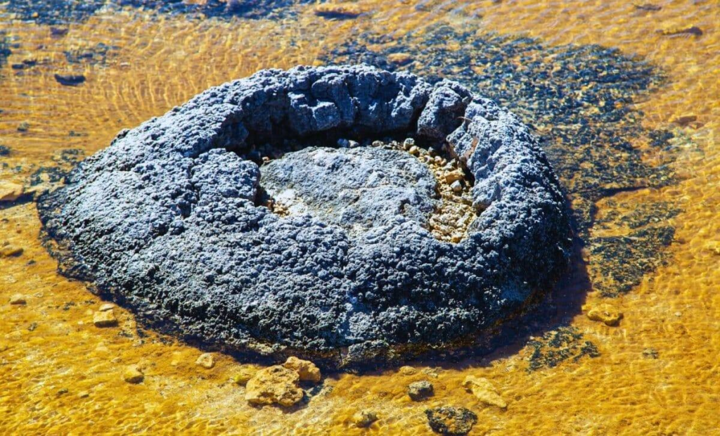 صخور بعمر يصل إلى 3.5 مليار سنة تكشف أسرار الحياة البدائية على الأرض