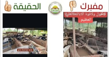 وزارة الزراعة: ادعاءات نفوق الماشية المنسوبة لدولة أخرى مزيفة