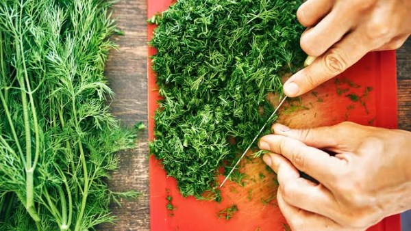 كيف يؤثر الشبت على جسمك عند إضافته إلى السلطة يوميًا؟