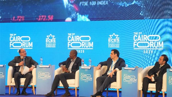 وزير المالية: الاقتصاد المصري أمام مستقبل واعد والقطاع الخاص يقود النمو