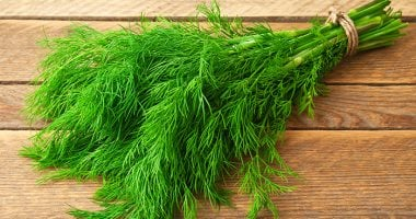 كيف يؤثر الشبت في جسمك عند إضافته إلى السلطة يوميًا؟