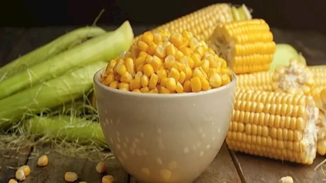 فوائد غير متوقعة لحبوب الذرة لصحة الجسم