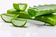 ثلاث فوائد غير متوقعة للألوفيرا لصحة الجسم