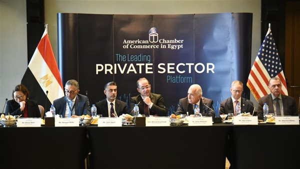 المالية: مبادرة لدعم الصناعة بـ120 مليار جنيه وتحفيز السياحة