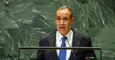 الخارجية تتابع أوضاع المصريين في مالي عن كثب