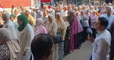 إقبال كثيف على لجان وادى النطرون وأبو المطامير والنوبارية ودمنهور