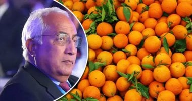 ارتفاع المبيعات بلا فائدة والبرتقال يضغط على أرباح صفوان ثابت