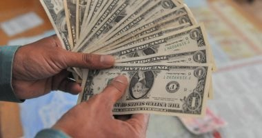 سعر الدولار في مصر مستقر خلال تعاملات الجمعة 14-11-2025