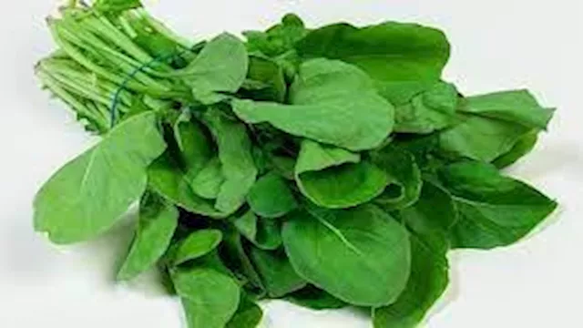 جرجير: 5 فوائد صحية منها دعم صحة العين