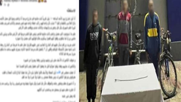 الداخلية تكشف تفاصيل تحرش وضرب طالبة المحلة وتم ضبط 3 متهمين