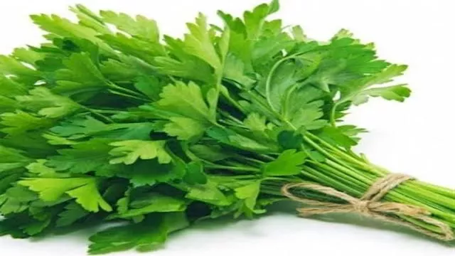 احرص عليه: 5 فوائد صحية للكرفس مذهلة