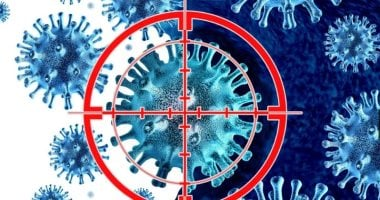 فيروس ماربورغ: يشبه الإيبولا بلا علاج وأعراضه