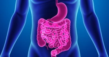 7 خطوات لتطهير القولون بشكل آمن وطبيعي للحفاظ على وظيفته