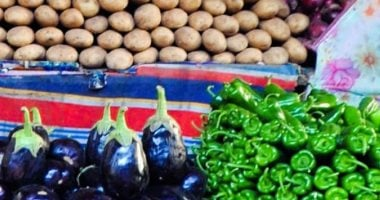 البطاطس بكام فى أسواق الخضار والفاكهة الأحد 16-11-2025 فى المنوفية