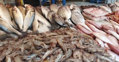 البلطي يبدأ من 70 جنيها.. أسعار السمك في القليوبية الأحد 16-11-2025