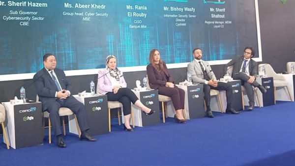 عبير خضر: أموال العملاء بالبنك الأهلي محمية من الهجمات السيبرانية