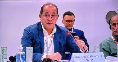 وزير المالية: نريد دور أكبر للمؤسسات الدولية في التمويل الأخضر الميسر