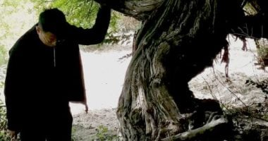 جينيس يسجّل أقدم شجرة عنب حية بالعالم وتبلغ 416 عامًا في التبت