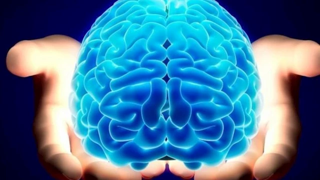 دراسة تكشف أثر التحدث بلغات متعددة على الدماغ