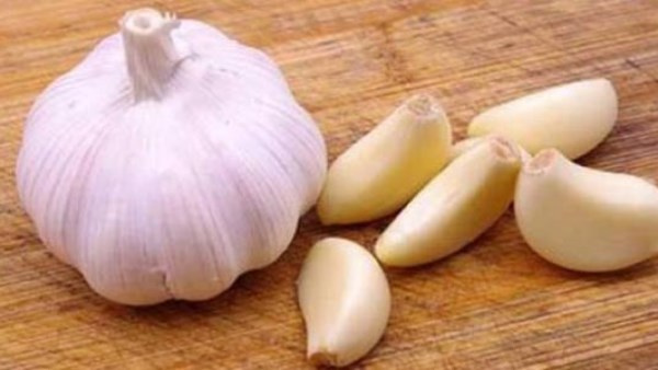 ما تأثير مضغ الثوم النيء في الصباح على جسمك؟