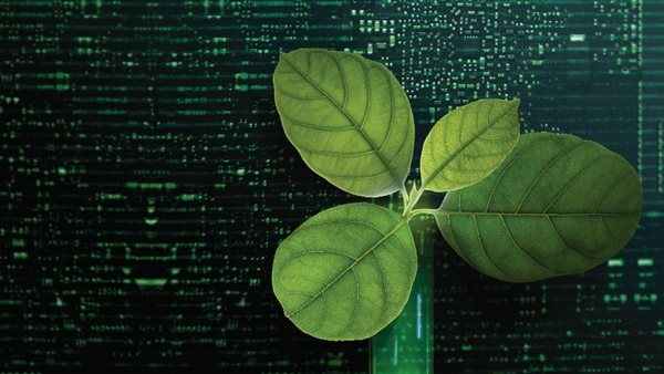 تكامل دولي لدعم تحول الصناعة المصرية ببرنامج قيمته مليار دولار