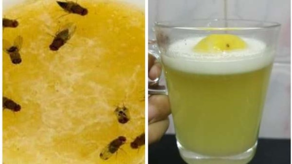 5 طرق طبيعية سهلة للقضاء على الهاموش في المطبخ