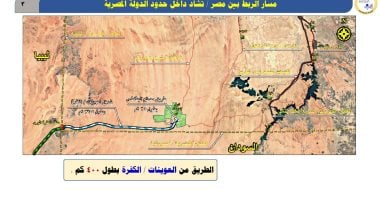 مشروع يربط مصر بتشاد عبر ليبيا ويعيد رسم التجارة الإفريقية