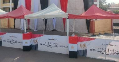 انتخابات مجلس النواب 2025: طريقة التصويت لاختيار مرشحى القائمة والفردى