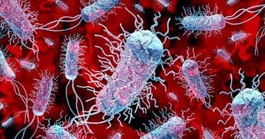 الصحة العالمية: المقاومة للمضادات الحيوية تقتل 10 ملايين بحلول 2050