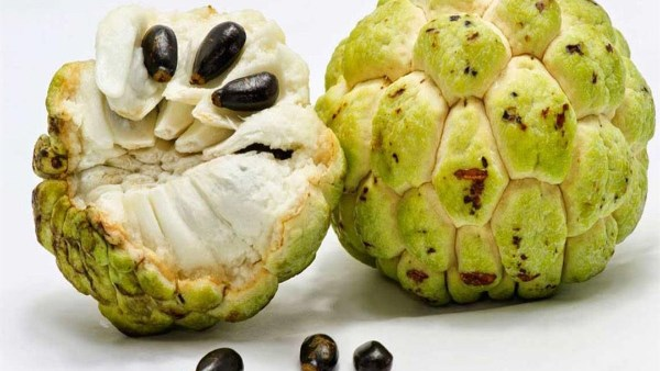 فاكهة القشطة: كنز صحي يحميك من السرطان