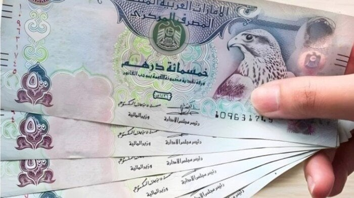 سعر الدرهم الإماراتي مقابل الجنيه اليوم 23 نوفمبر 2025