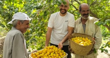 تحذير عاجل للمزارعين من مركز المناخ: رياح قوية غدًا الإثنين